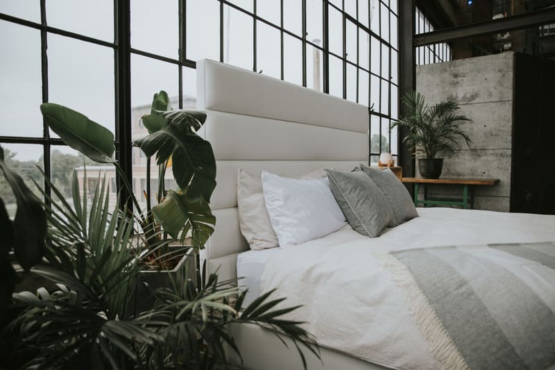 The headboard from the side, with plants in the loft window